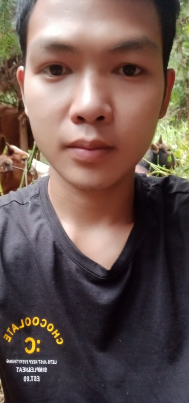 等AI的第三张照片--建瓯交友网